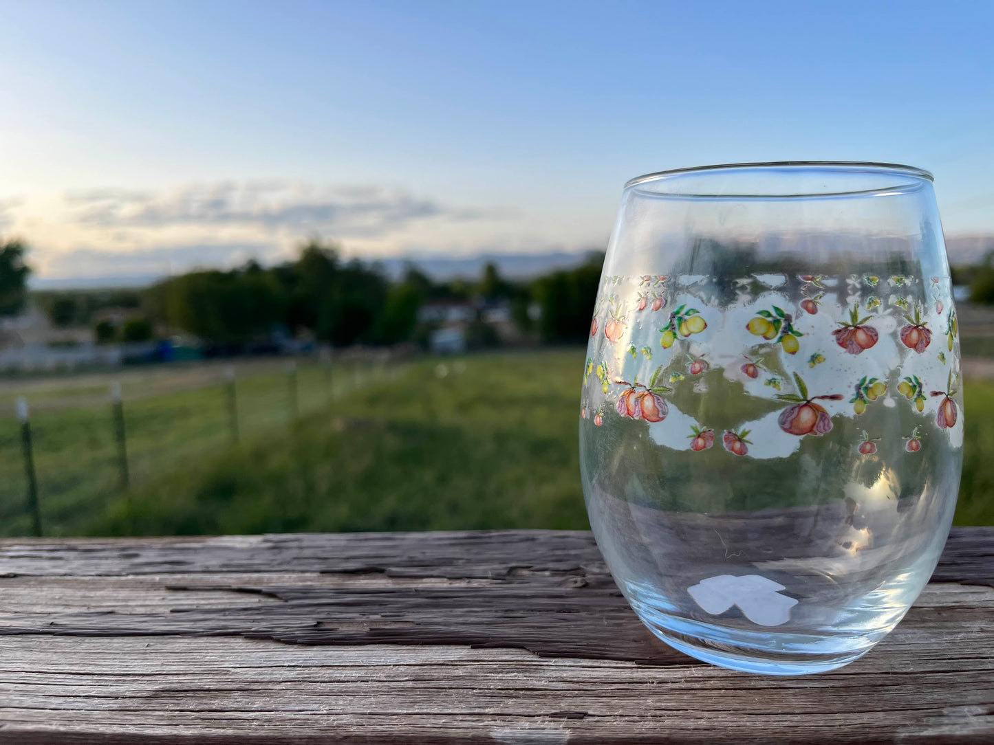 Juicy Fruitsie - Stemless Wine Glass